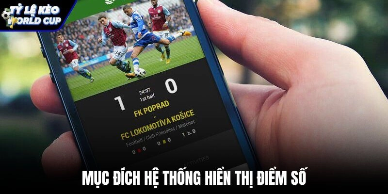 Giao diện điểm số Bảng xếp hạng World Cup trực quan